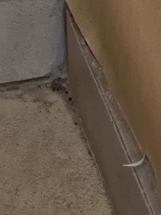 Zimmer Well Palace Side