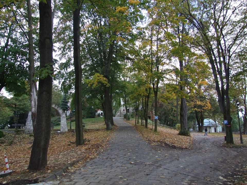 Ogród Hotel Manor House SPA - Pałac Odrowążów