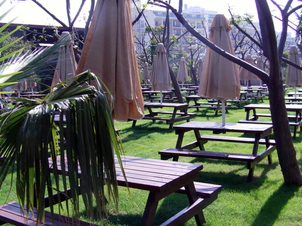 Sitzplätze bei der Snack Bar Seaden Sea World Resort & Spa