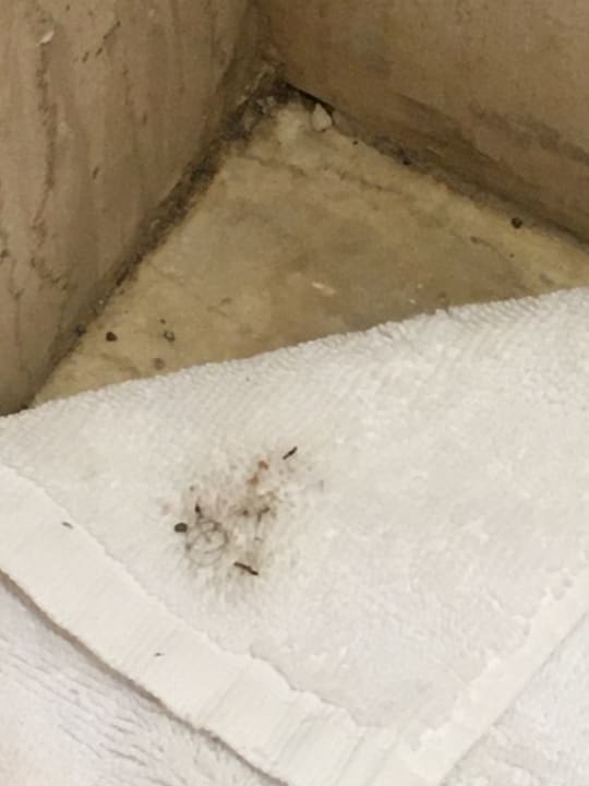 Zimmer Hotel Serita Beach