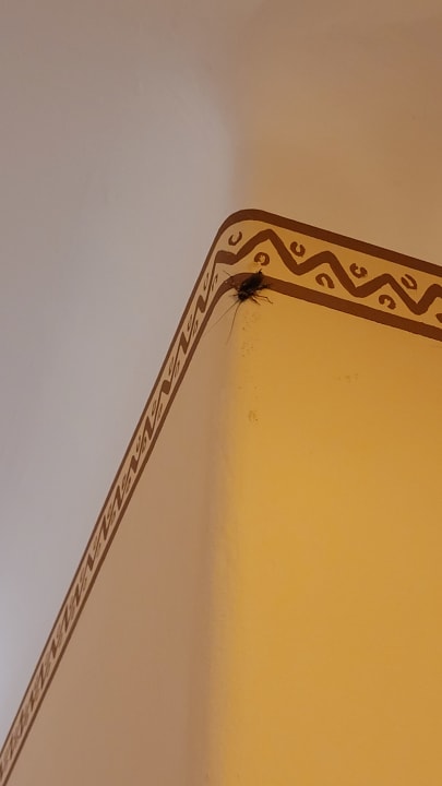 Zimmer Hotel Riu Touareg