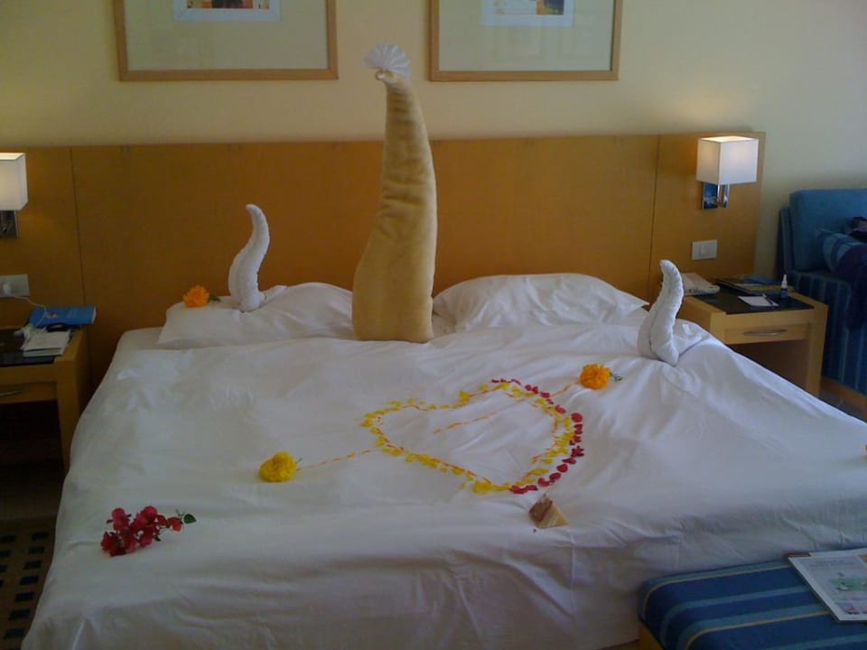 Zimmerservice Cleopatra Luxury Resort Makadi Bay