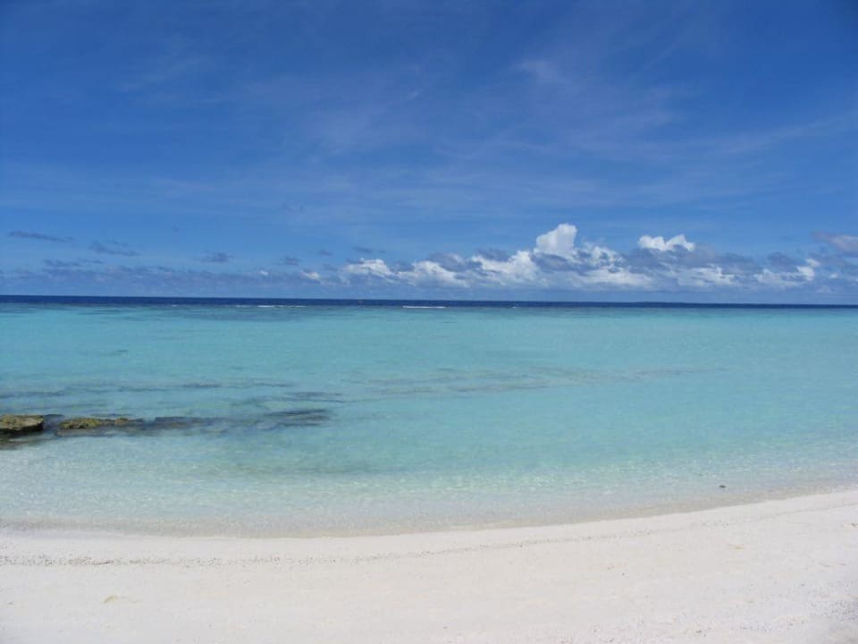 Der schönste Platz zum Schnorcheln Kuramathi Maldives