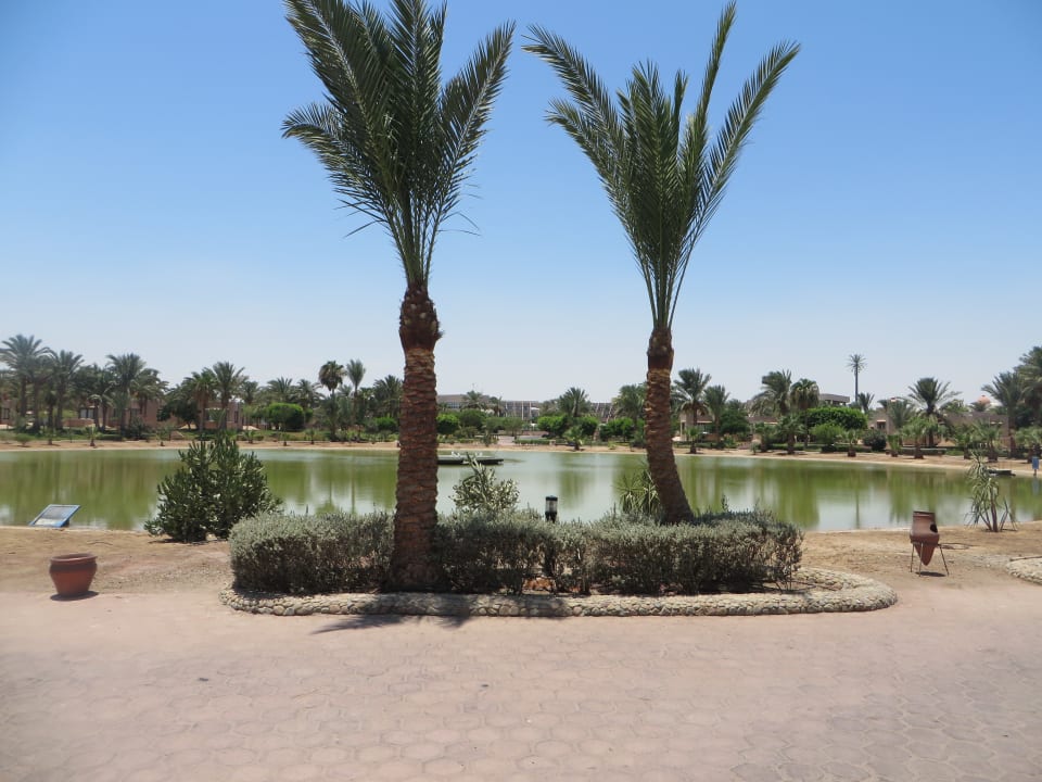Außenansicht Pharaoh Azur Resort