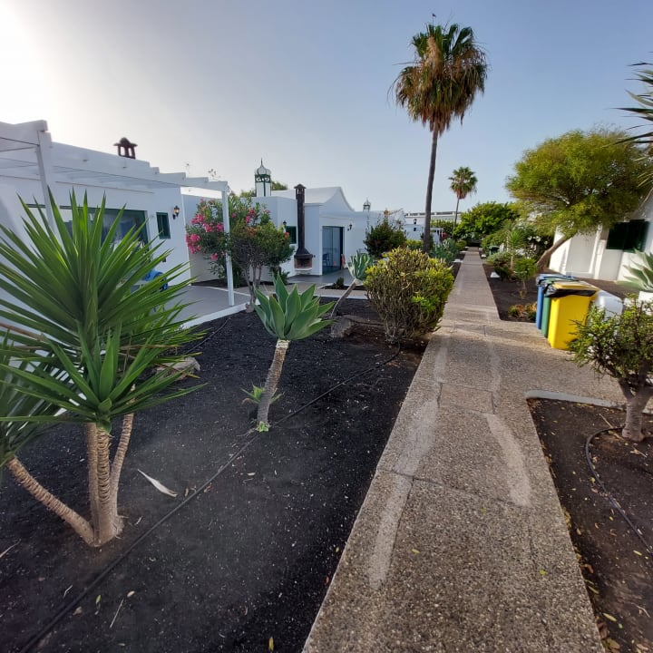 Gartenanlage Hotel Hyde Park Lane