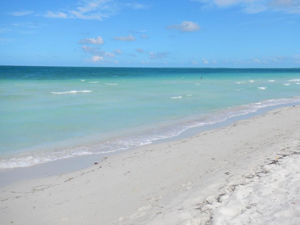 Feiner Sandstrand Iberostar Origin Playa Alameda