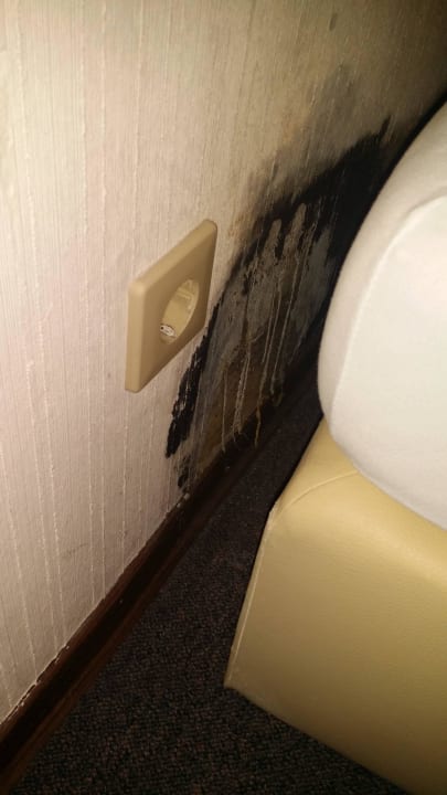 Ausgedehnter Schimmelbefall  Pension Wachau