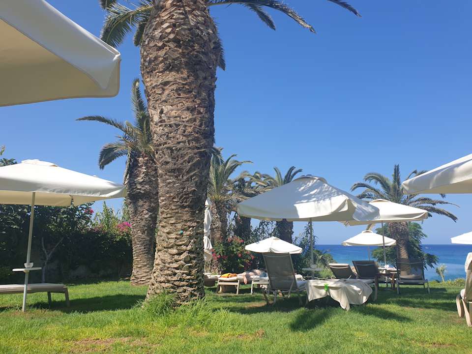 Gartenanlage Crystal Springs Beach Hotel