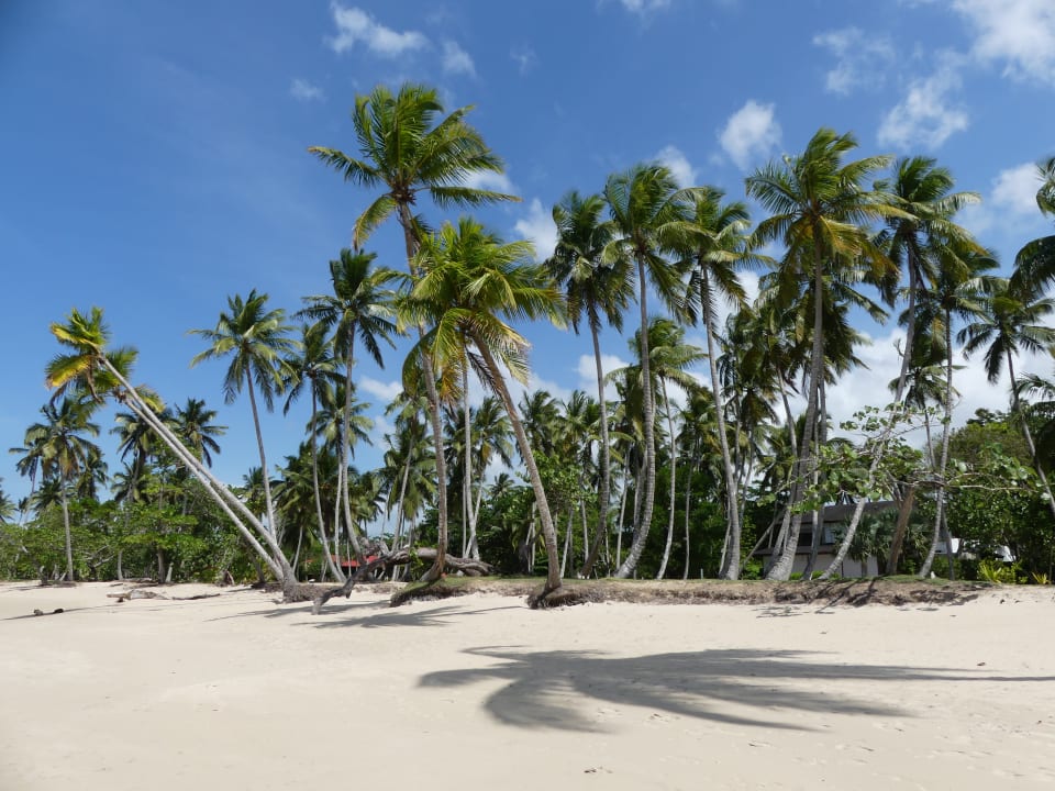 Strand Bahia Principe Grand El Portillo