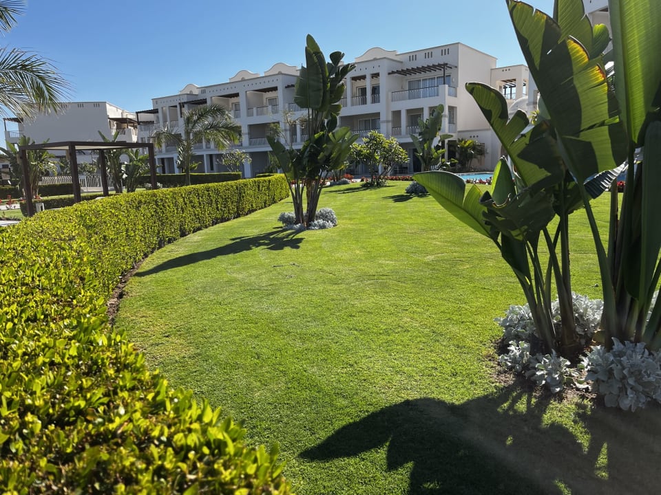 Gartenanlage Steigenberger Resort Alaya Marsa Alam - Red Sea - Adults only