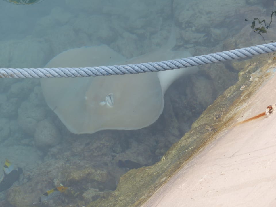 Sport & Freizeit Adaaran Select Hudhuran Fushi - Premium All Inclusive