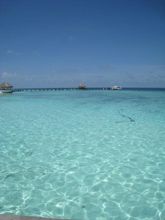 Blaues Wasser Eriyadu Island Resort
