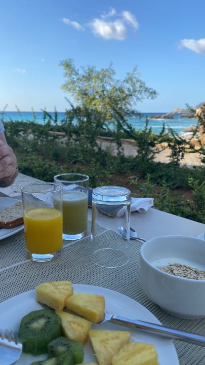 Gastro Son Moll Sentits Hotel & Spa