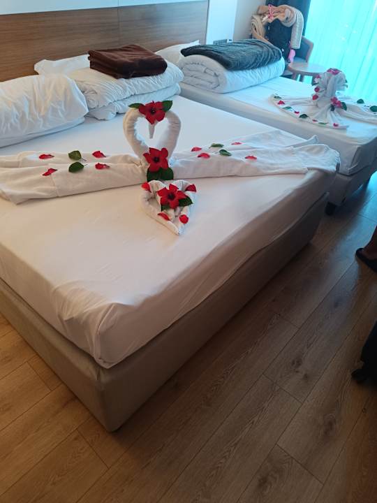 Gartenanlage Alba Resort Hotel