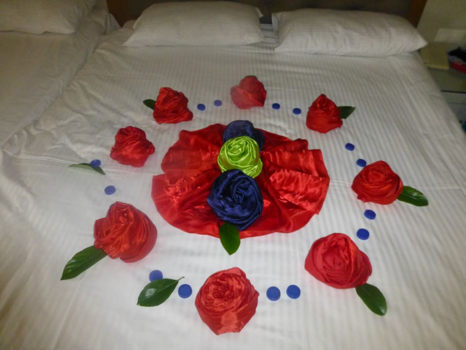 Danke an die Damen ihr seid echt Spitze ! Saturn Palace Resort Hotel