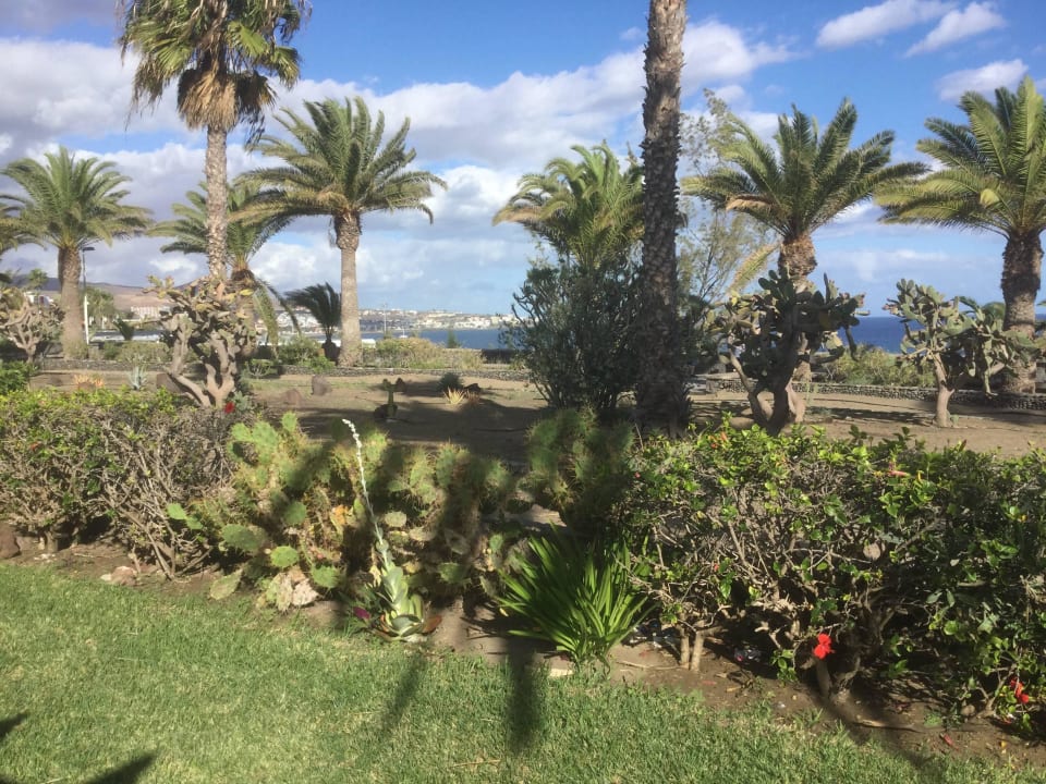 Blick von der Terrasse  Bungalows Layla