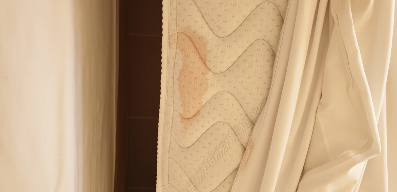 Zimmer Sirenis Tropical Varadero