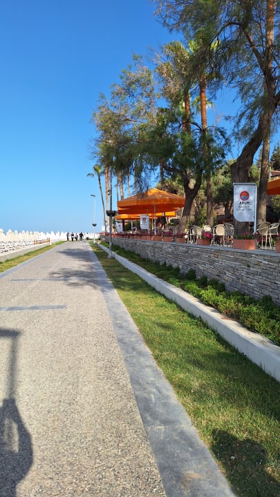 Strand Arum Barut Collection