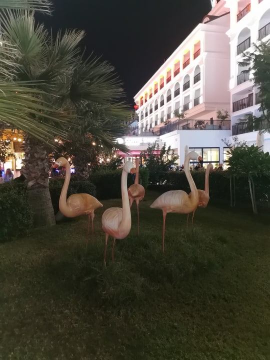 Außenansicht Side Royal Palace Hotel & Spa