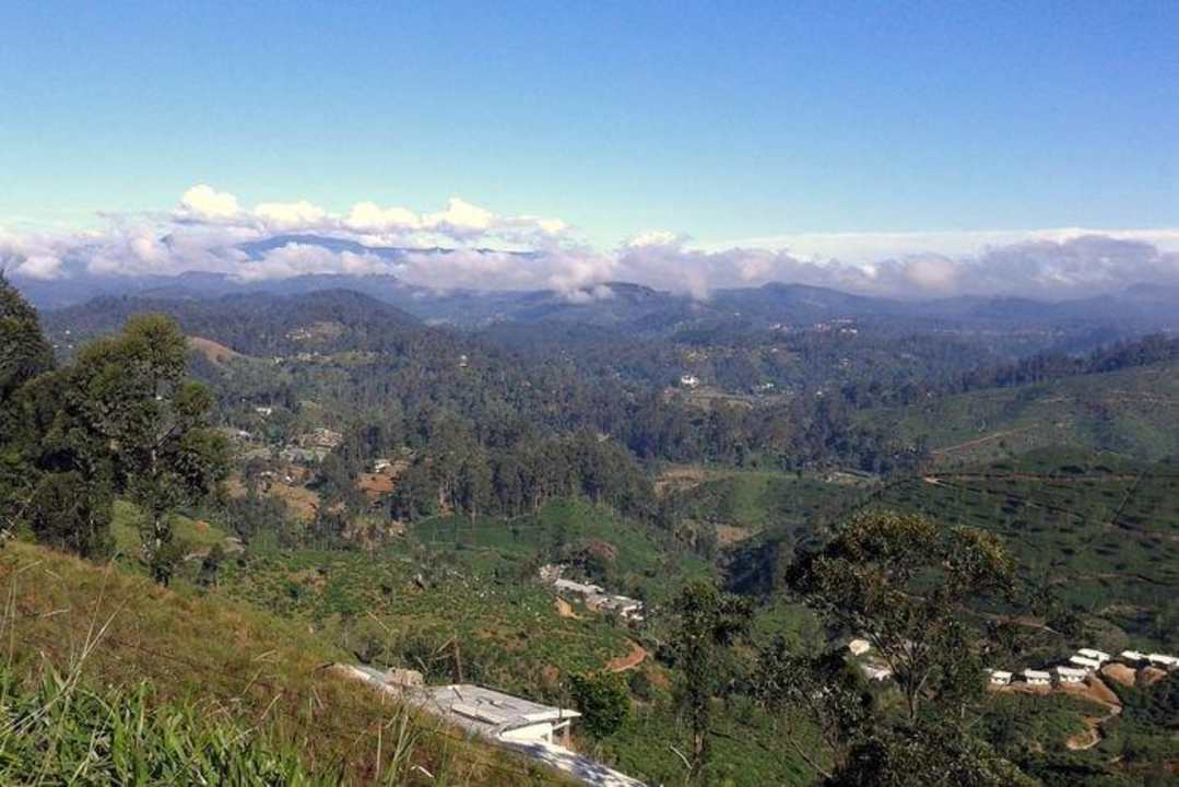 Widok z pokoju Olympus Plaza Hotel