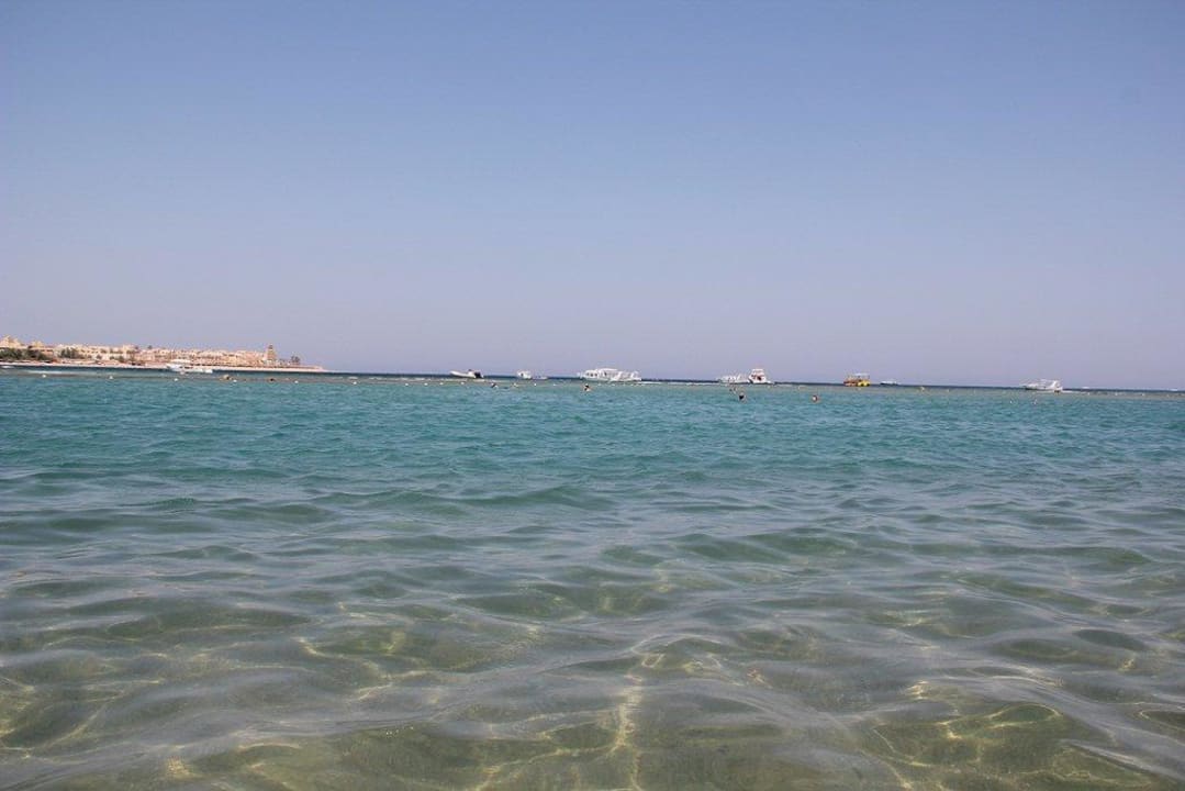 Sauberes Wasser Steigenberger Makadi Hotel - Adults only