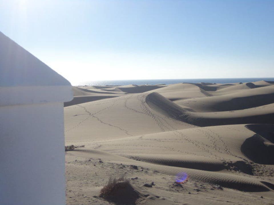 Blick zu den Dünen Hotel Riu Palace Maspalomas Adults Only