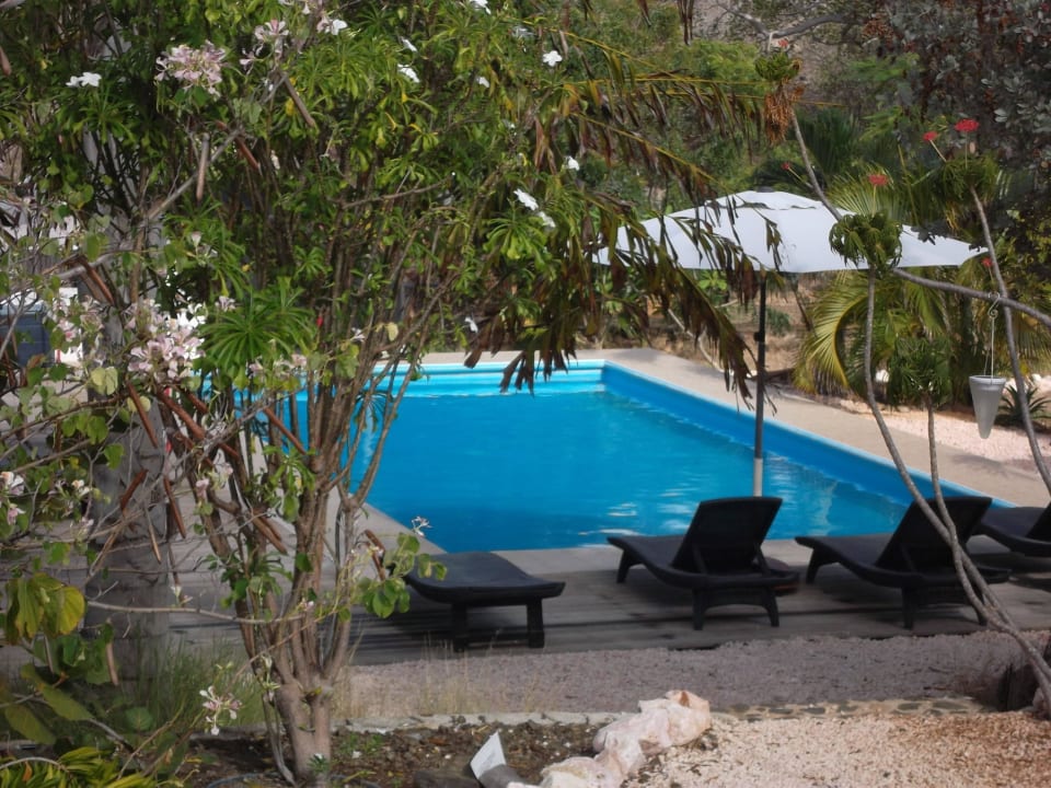 Blick auf den Pool von der Treppe Don Genaro Apartments