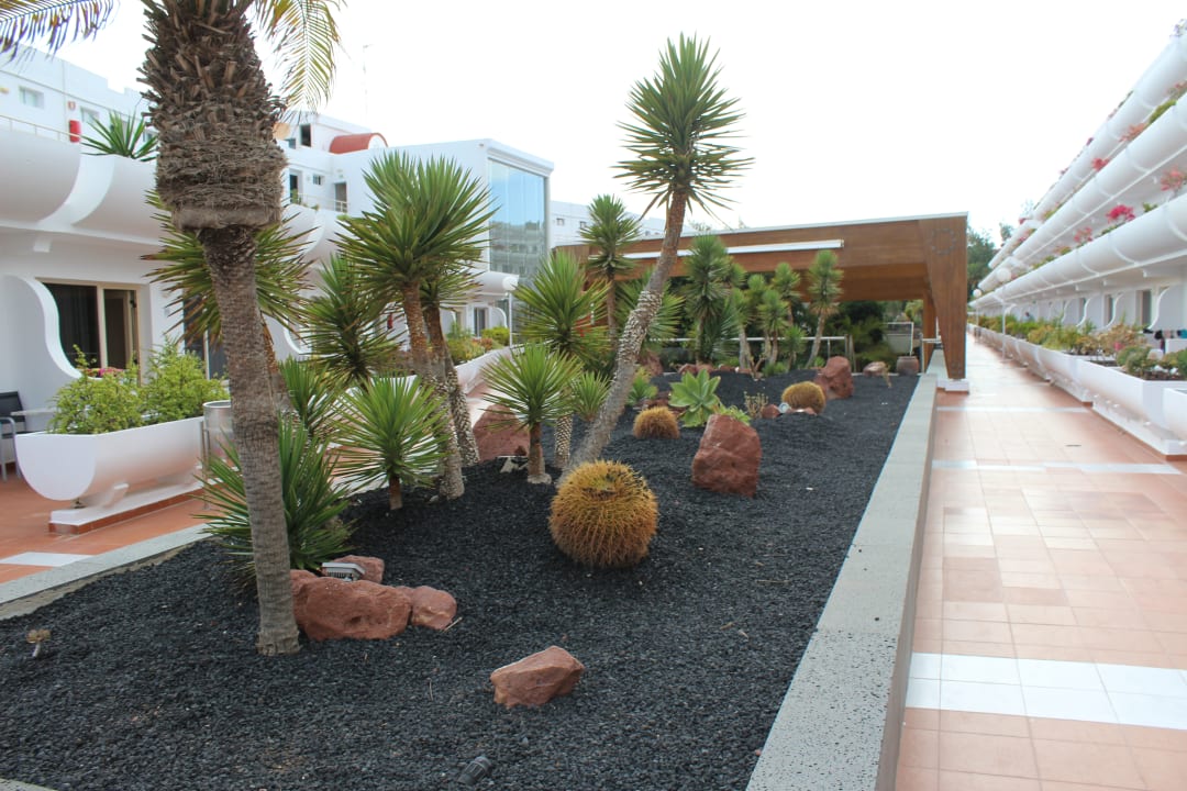 Gartenanlage allsun App.-Hotel Barlovento