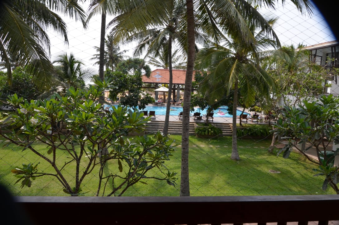 Poolblick Goldi Sands Hotel