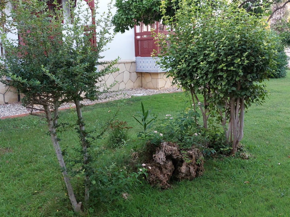 Gartenanlage Ali Bey Club
