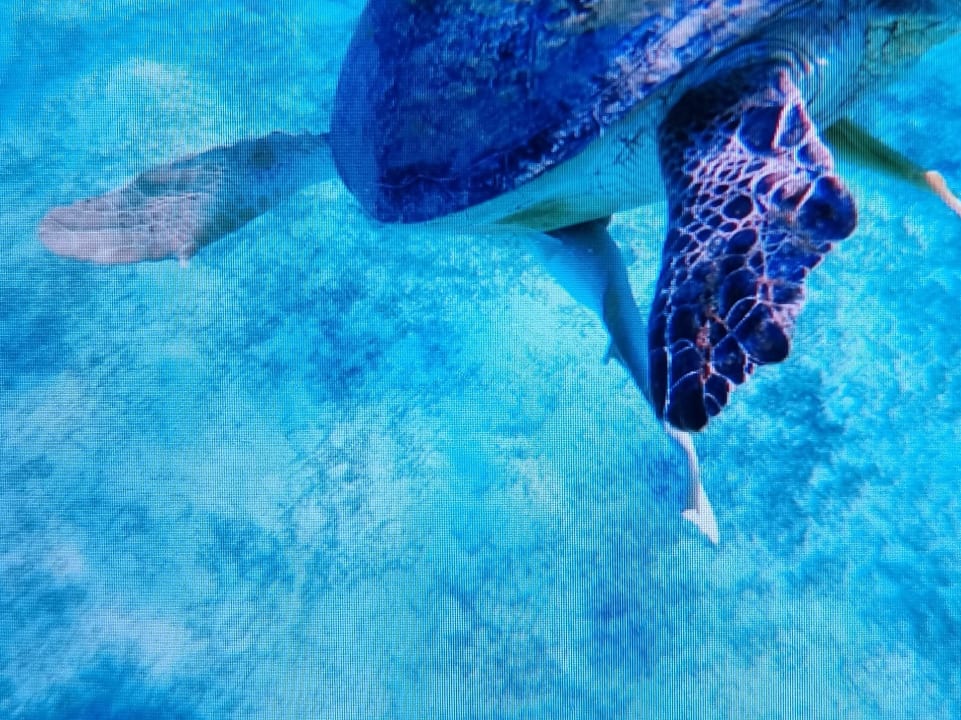 Strand Three Corners Sea Beach Resort