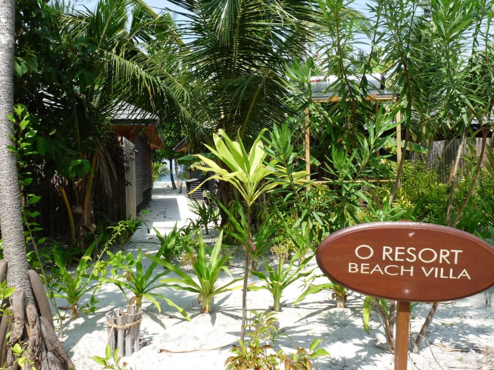 Les allées Kuredu Island Resort & Spa