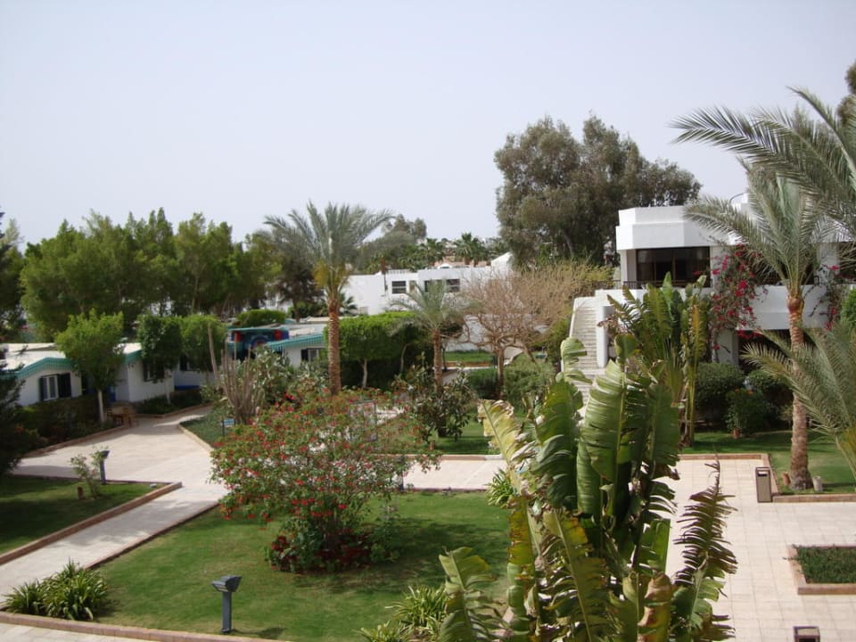 Garten im Innenbereich des Hotels Ghazala Beach