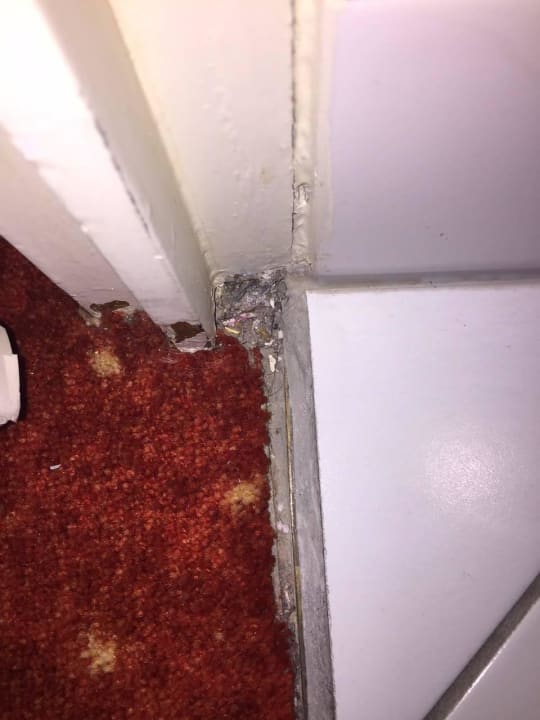 Schlecht verlegter Teppich  Hotel NH Erlangen