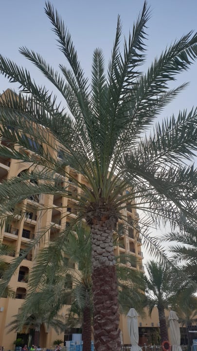 Außenansicht DoubleTree by Hilton Resort & Spa Marjan Island