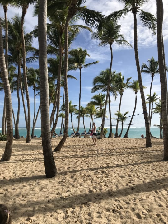 Strand Hotel Riu Palace Bavaro