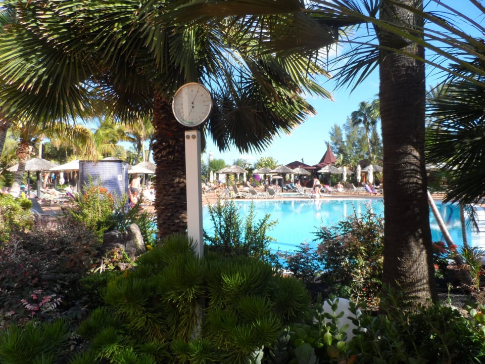 Schön angelegt IFA Altamarena by Lopesan Hotels