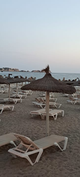 Strand allsun Hotel Bella Paguera