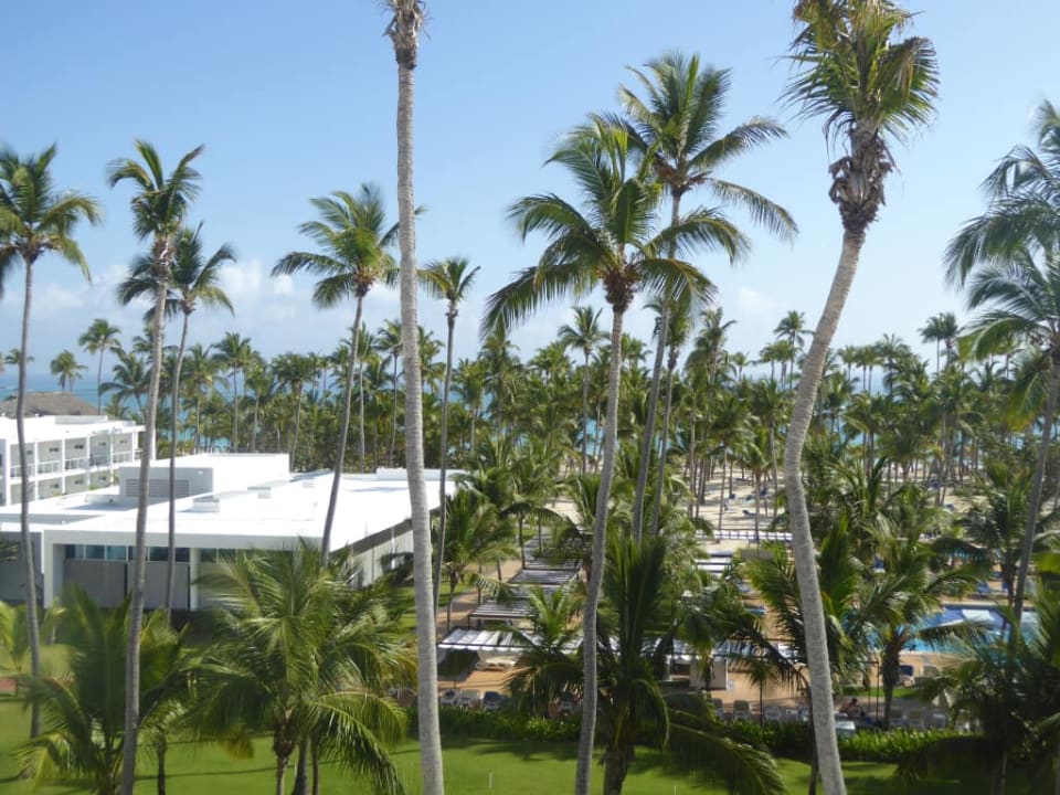 Widok z pokoju Hotel Riu Palace Macao - Adults only