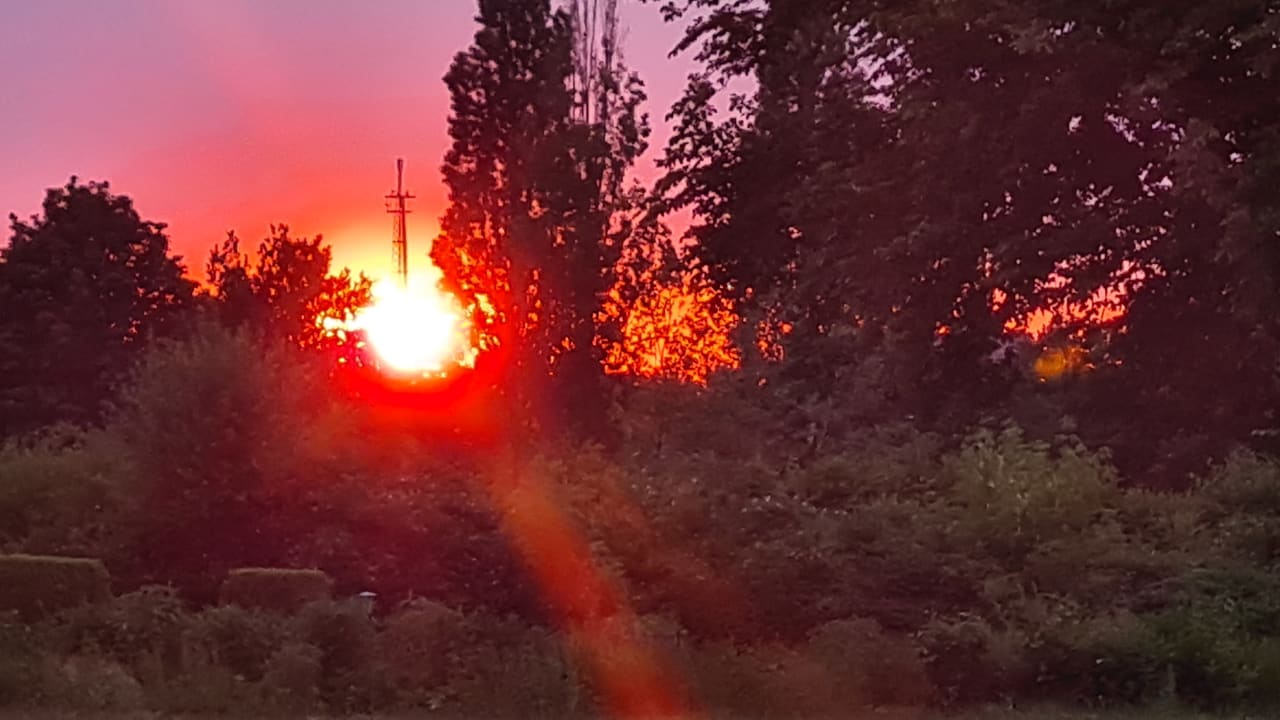Ausblick SeeHotel Großräschen