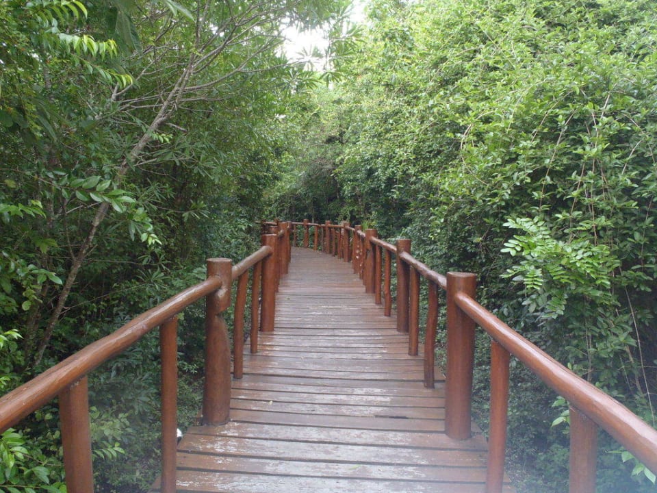 Wege in der Anlage TRS Yucatan Hotel - Adults only