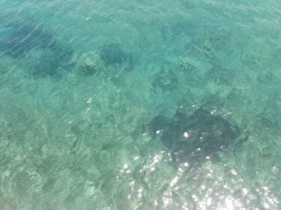 Wasser Hotel Aphrodite Beach Club