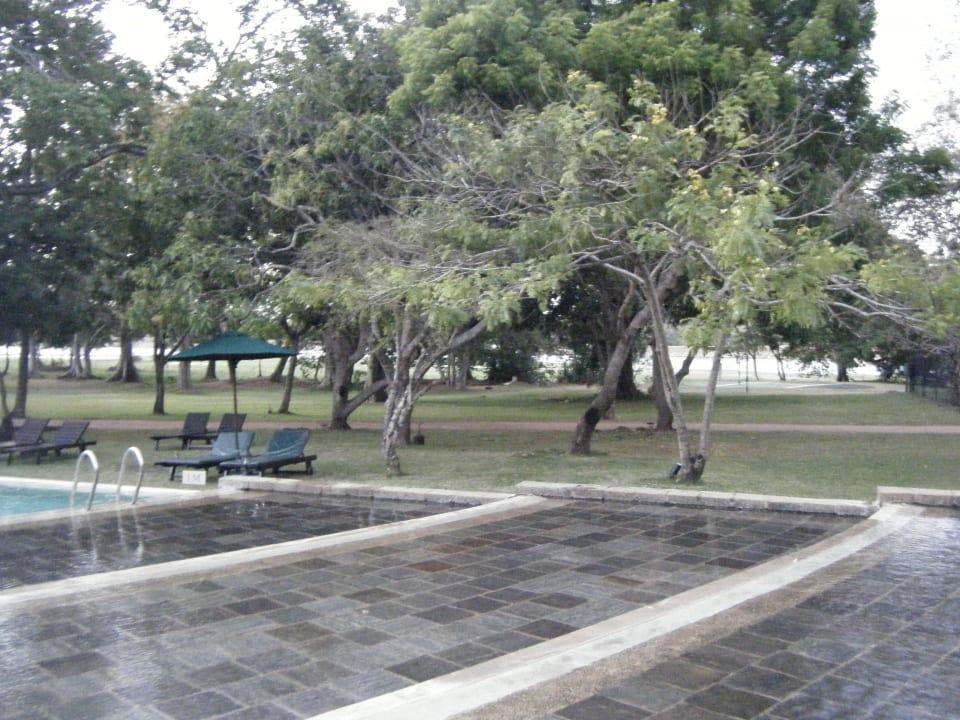Der Pool hat flache Bereiche Habarana Village by Cinnamon