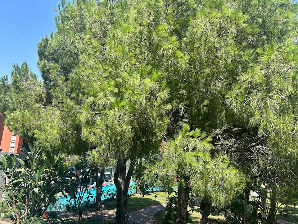 Gartenanlage Megasaray Club Belek