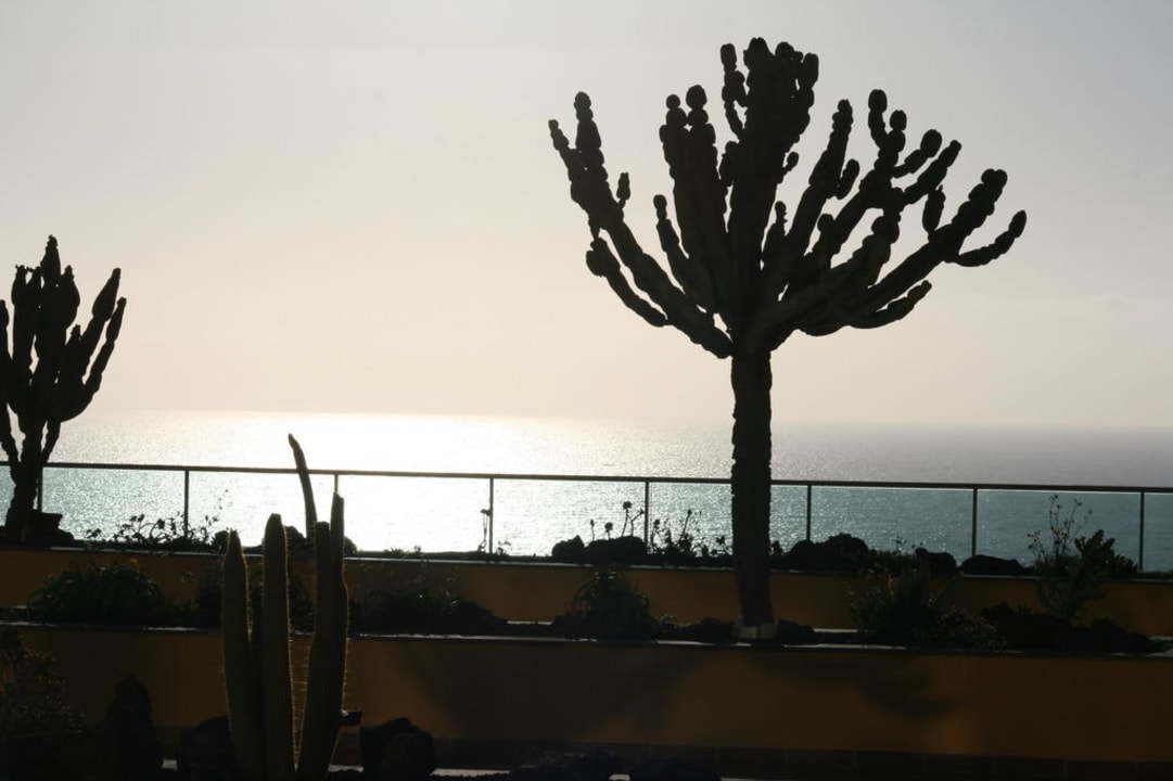 Terrasse an der Rezeption SBH Club Paraiso Playa