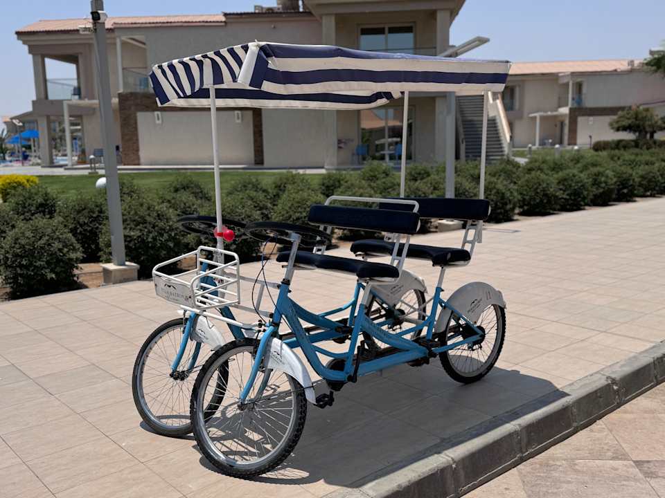 Sonstiges Pickalbatros Sea World Resort - Marsa Alam