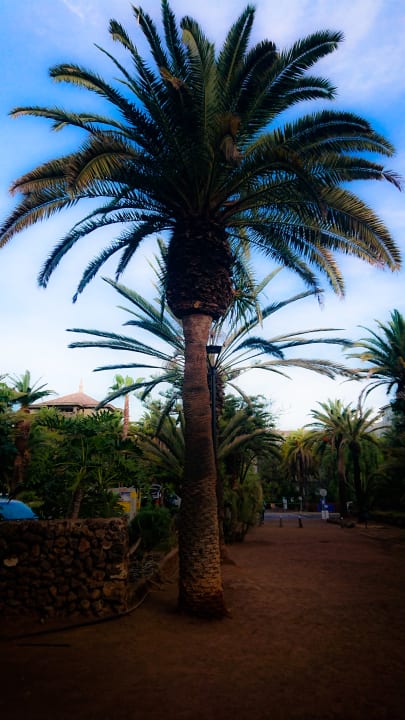 Gartenanlage TRH Taoro Garden