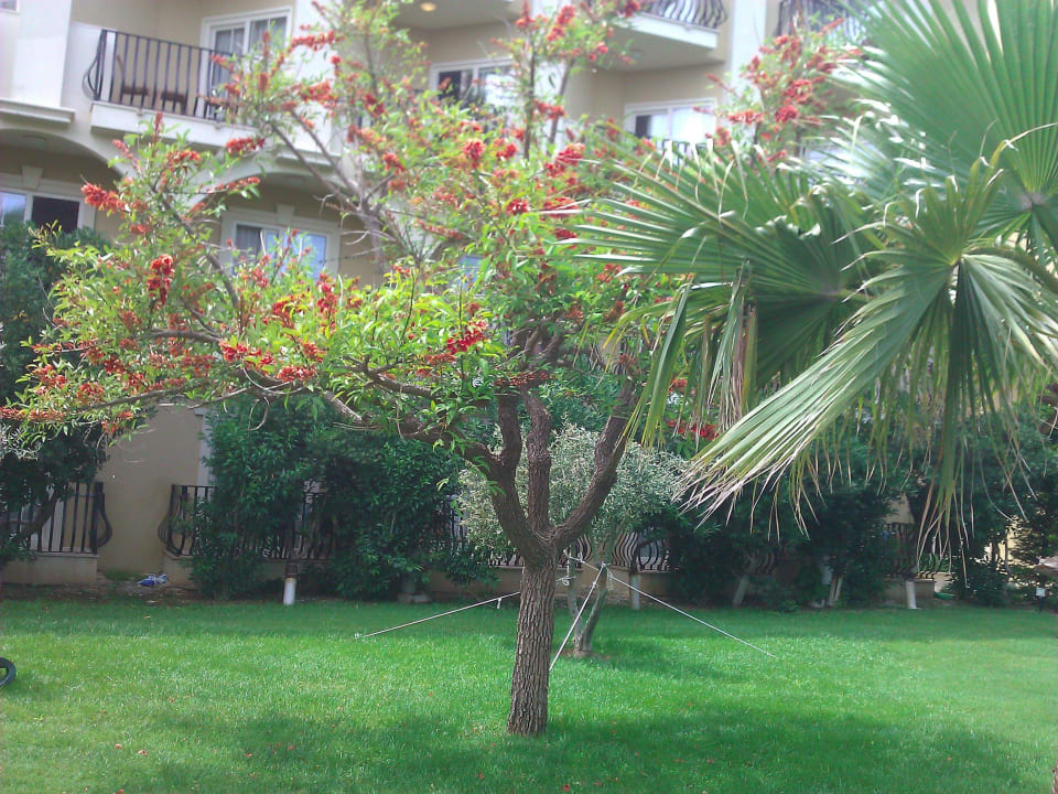 Garten Belek Beach Resort Hotel