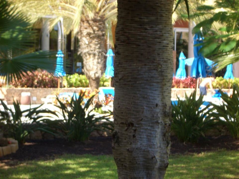 Blick nach draussen MUR Hotel Faro Jandia & Spa Fuerteventura
