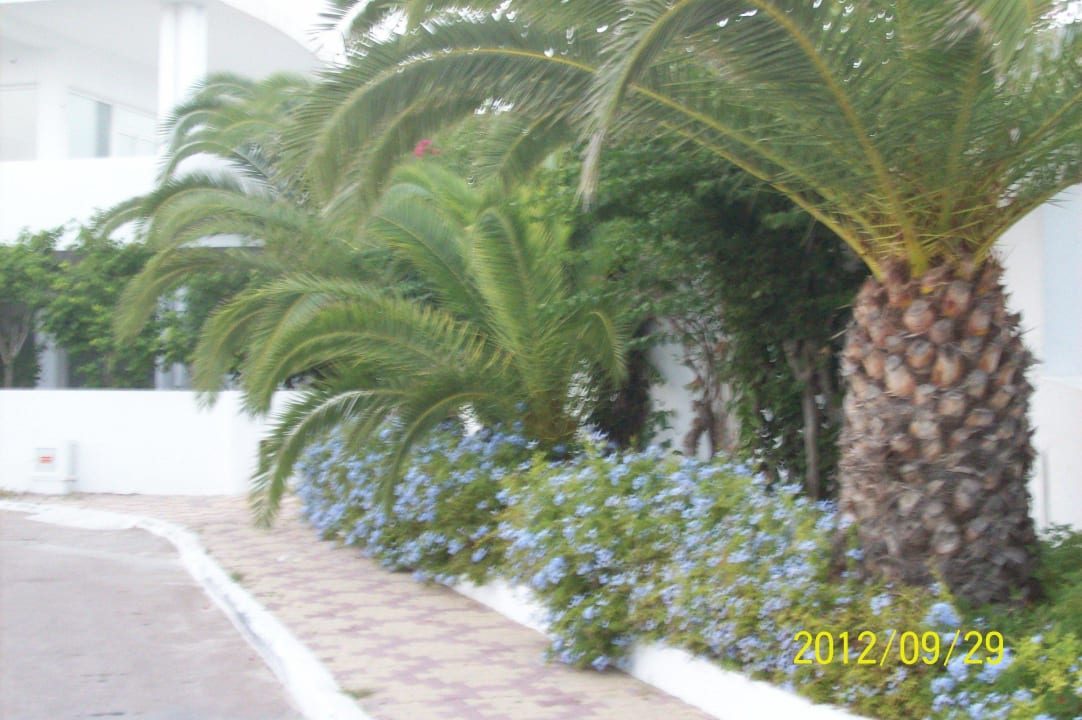 Gang zu den Bungalows El Mouradi Club Kantaoui